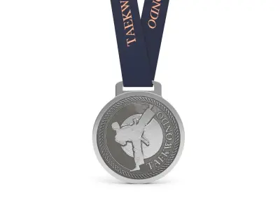 Taekwondo Medal 3D model