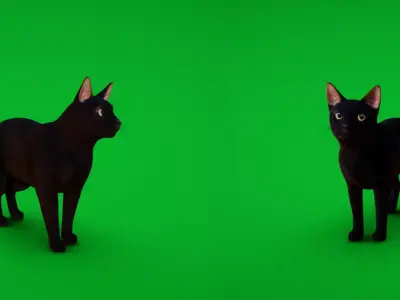 Bombay Cat Low-poly 3D model