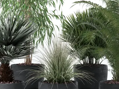 Plants collection 135 3D model