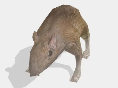 rat animal Low-poly 3D model