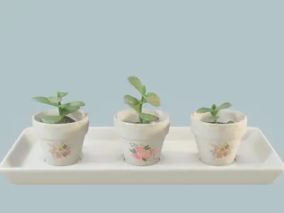 Plant Pot Set Low-poly 3D model