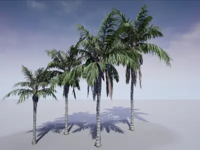 HQ Plants Volume 1 Palms for unreal engine 3D model set of 24 3D model