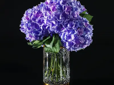 Hydrangea set 002 3D model