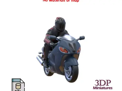 Motor rider and motorcycle 3D print model