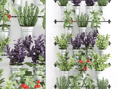 Decorative plants for the kitchen on railing 380 1 3D model