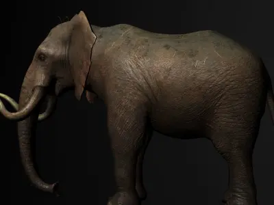 Elelphant 3D model rig Low-poly 3D model