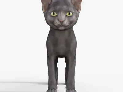 Cute 3D Kitten Rigged 3D model