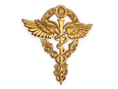 Relief Caduceus carved 04 3D model
