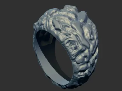Texture Ring 91434 3D print model