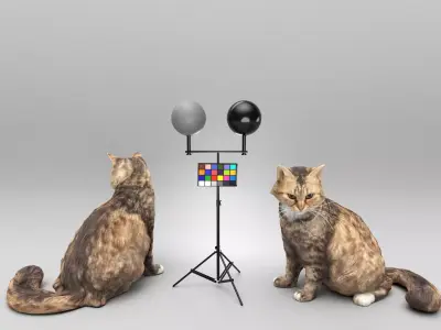 Fluffy cat 28 Low-poly 3D model