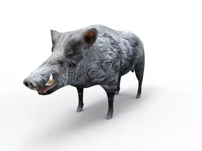 3D Wild Boar Rigged 3D Models Low-poly 3D model