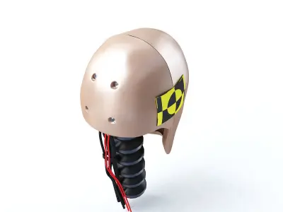 Male Crash Test Dummy Head 3D model