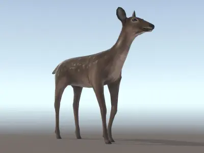 Low-poly Animated Deer Low-poly 3D model