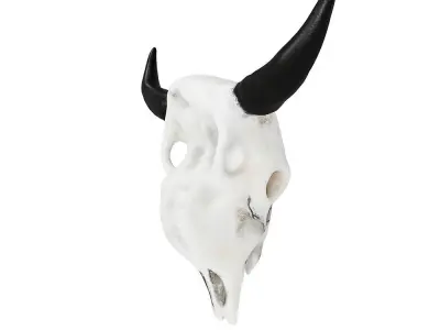 Bull Skull 3D model