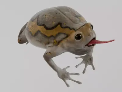 Lowpoly Banded Bullfrog Low-poly 3D model