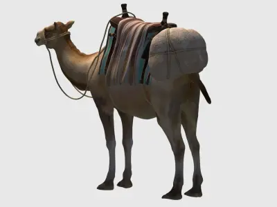 camel luggage animation  3D model