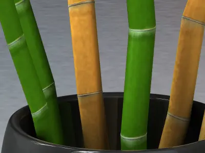 Bamboo and vase Low-poly 3D model