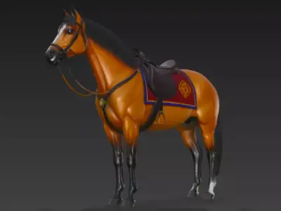 Horse 3d Model 3D model
