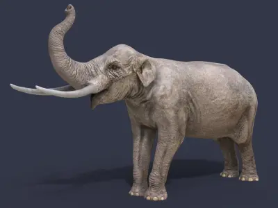 Sinomastodon hanjiangensis 3D model