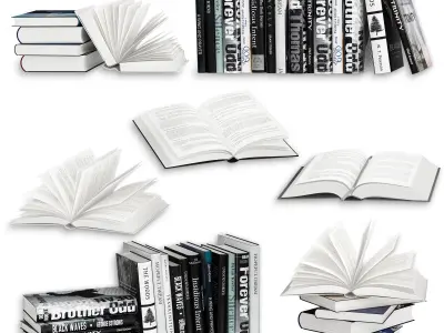 Open Books Set 3D model
