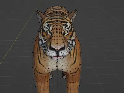 semi-realistic tiger 3d model Low-poly 3D model