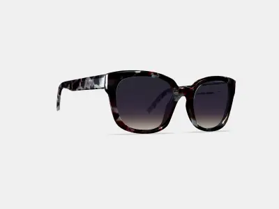 Aubrey Sunglasses in Garnet Tortoise 3D model