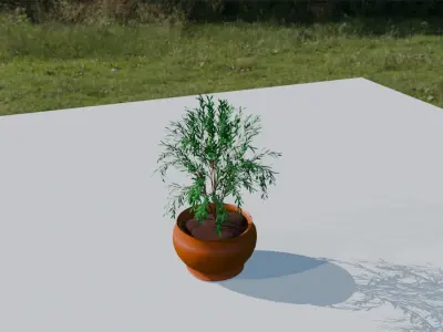 Pot Plant 3D model