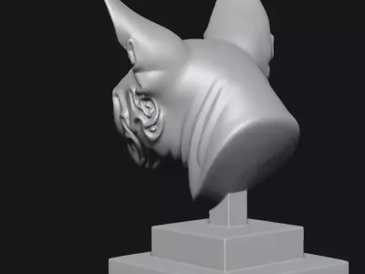  Sphynx Cat 3D print model