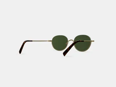 Satler Sunglasses in Polished Gold 3D model