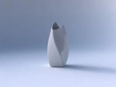 Vase twisted double arc quadratic smooth 3D print model