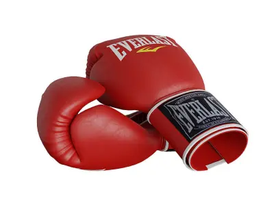 Boxing Equipment BLENDER 3D Model Cycles 3D model