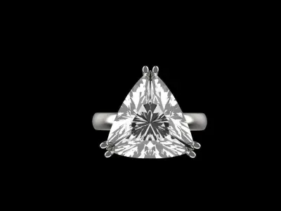 Ring 80028 3D print model