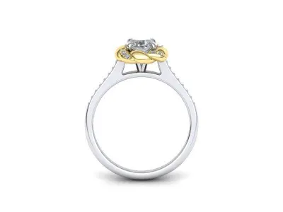 Paradise design Halo ring Own design  N10309 3D print model