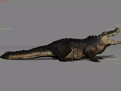 Crocodile Animal Low-poly 3D model