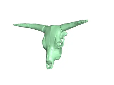 cow skull 3D model