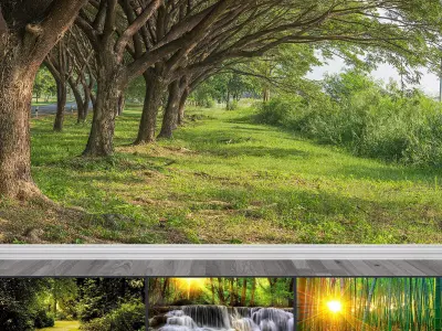 Photo Wallpaper No 26 Low-poly 3D model