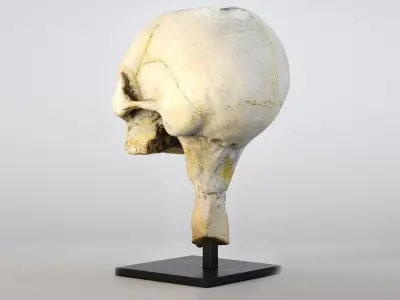 Mummy Skull Low-poly 3D model