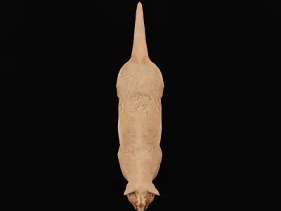 Caracal Wild Cat Low-poly 3D model