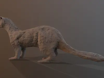Albino ferret Low-poly 3D model