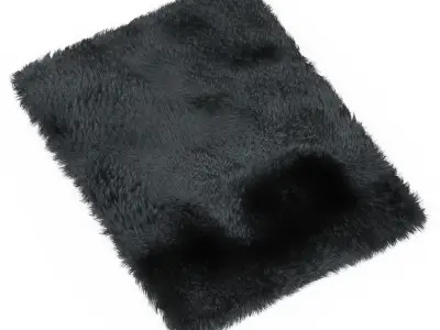 Carpet Fur Gray Shaggi 02 3D model