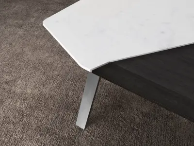 Feenix 1 Coffee Table 3D model