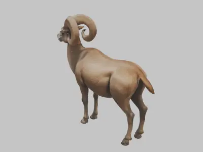 Ram Goat Low-poly 3D model