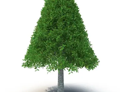 Cylindrical tree 3D model