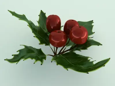 Mistletoe Sprig Holly 3D model