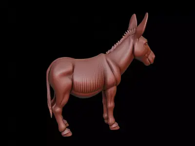 Donkey Animal Sculpture 3D print model