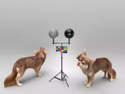 Funny dog 29 Low-poly 3D model
