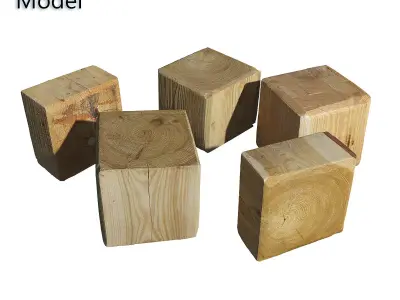 Ultra realistic Tree Stump 3D model