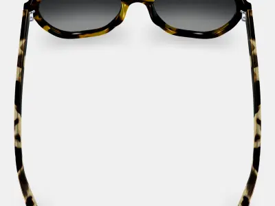 Rachel Sunglasses in Mesquite Tortoise 3D model