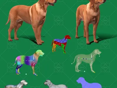 Labrador Retriever Dog  Low-poly 3D model