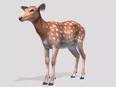 Deer - Doe Low-poly 3D model